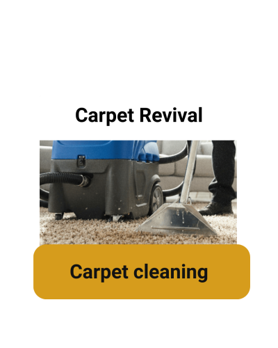 Texto do seu parágrafo